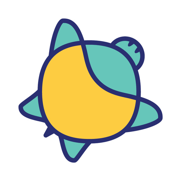 Turtle Moon